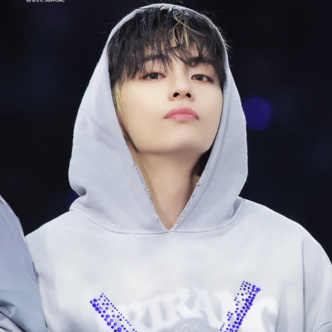 Behind-the-scenes cut of V (BTS)