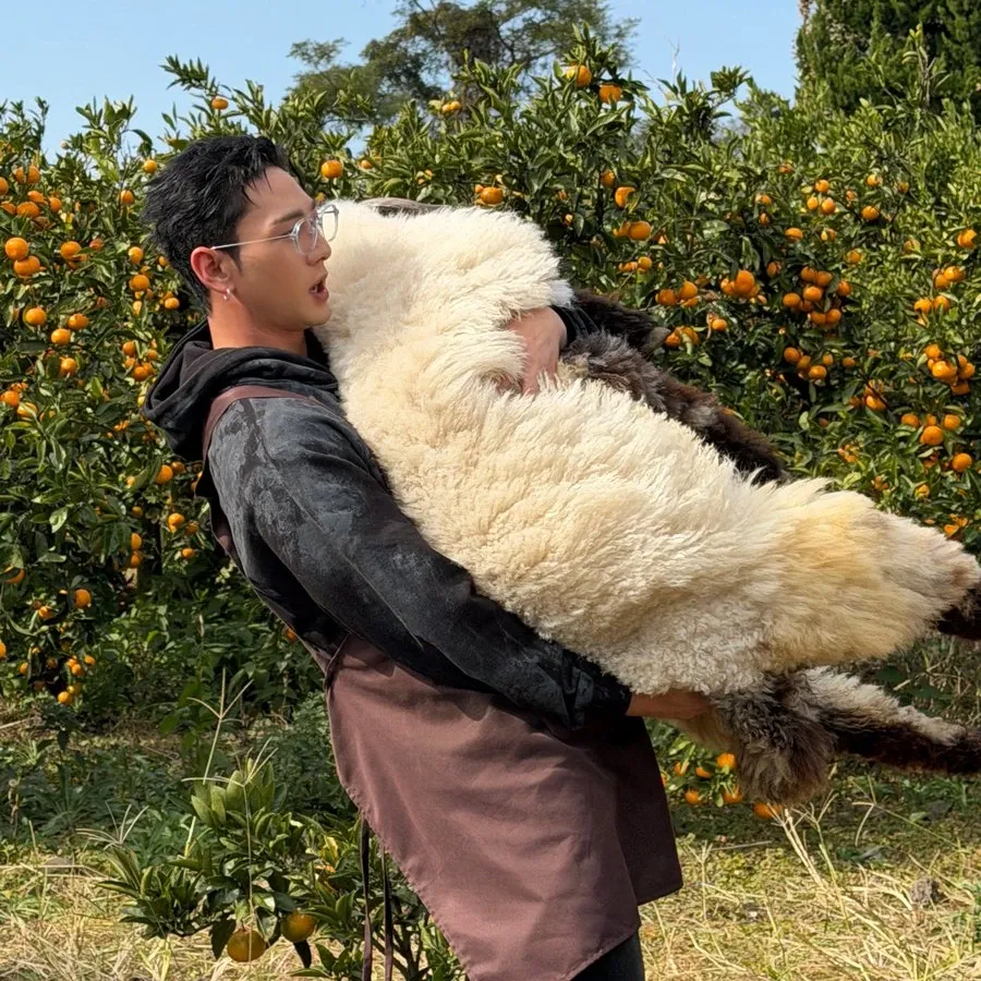 Recent activity shot of Baekho