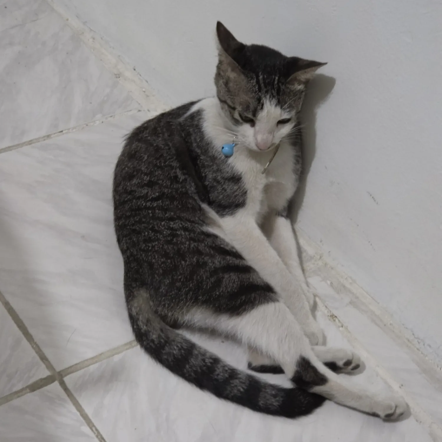 세븐틴의 비하인드 컷