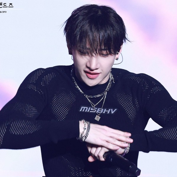 由粉絲團選擇的方燦 (Stray Kids)最佳時刻