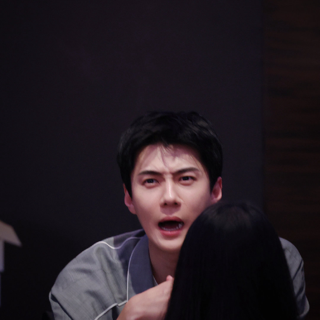 世勳 (EXO)的幕後花絮