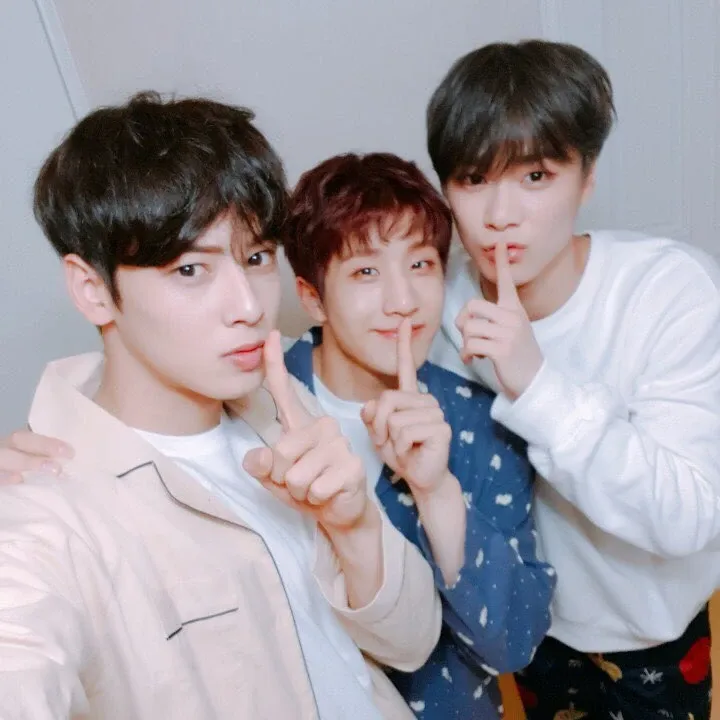 A moment captured by Jinjin (ASTRO)'s fan