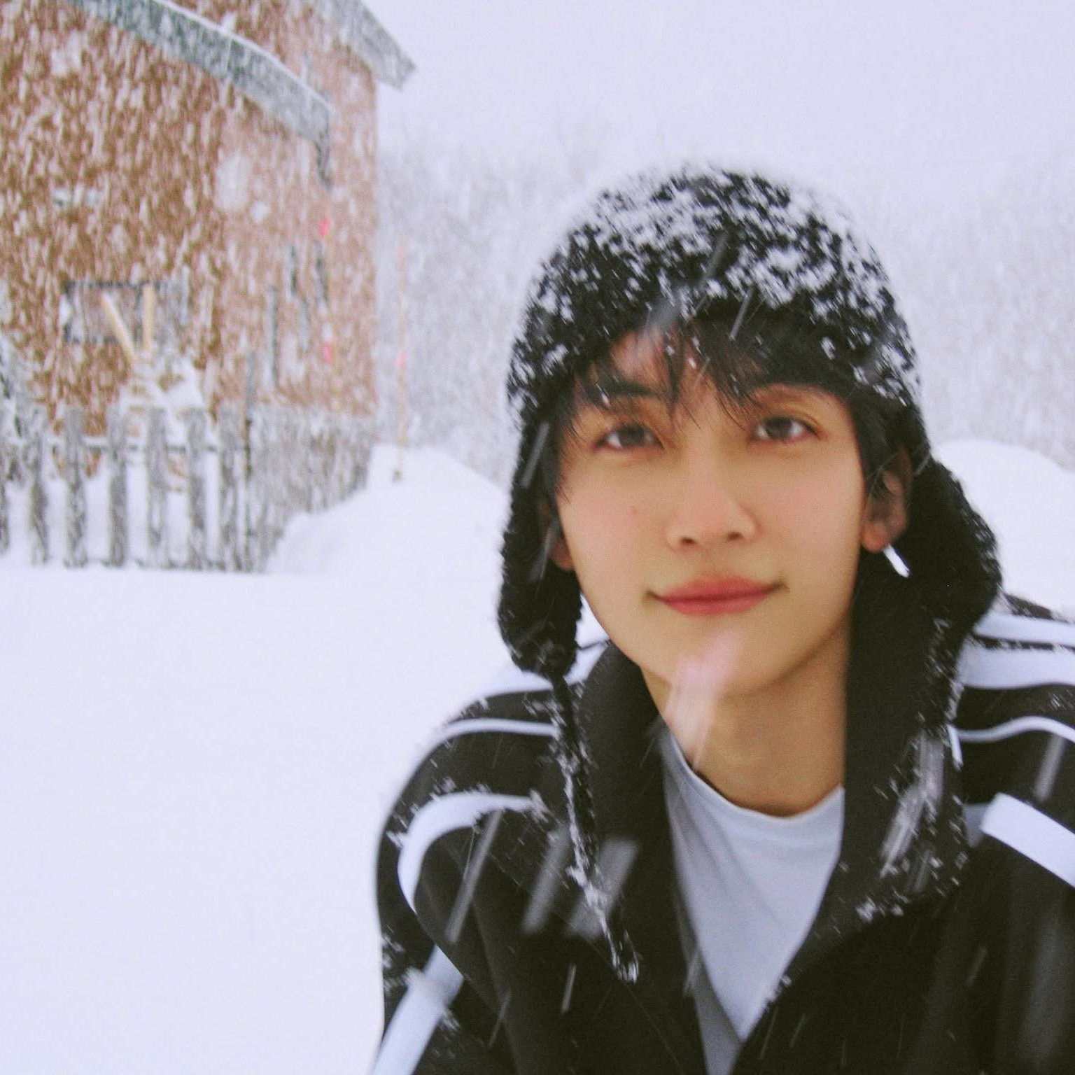 세븐틴 팬이 찍은 순간