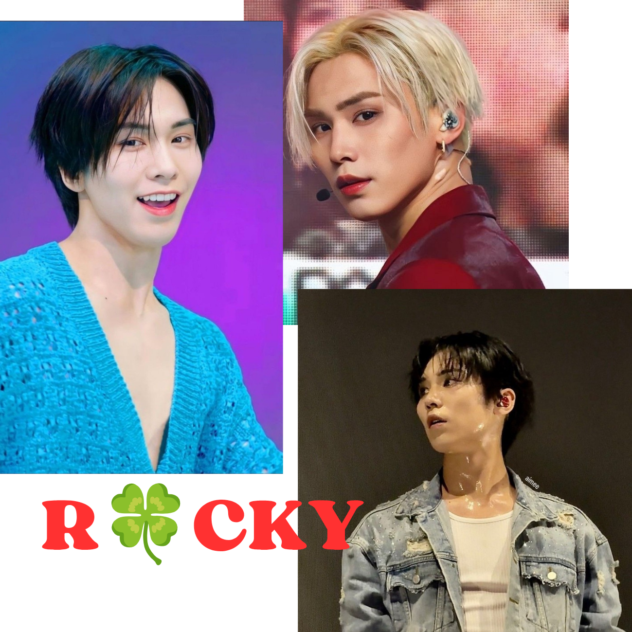 Latest photo of Rocky