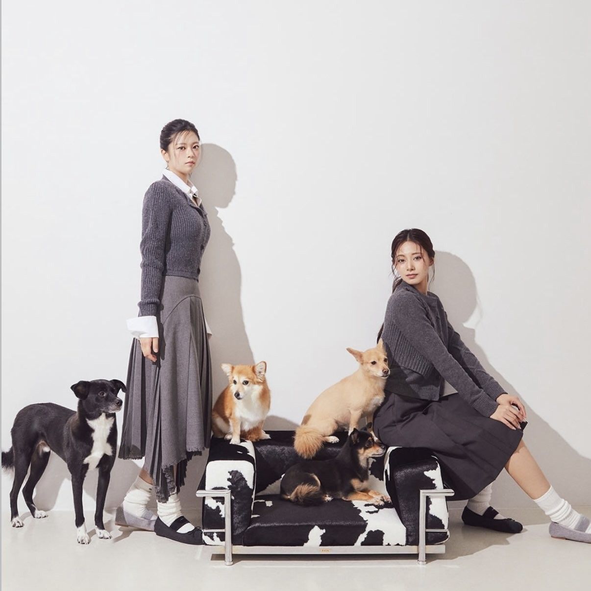 定延 (TWICE)粉丝拍下的瞬间