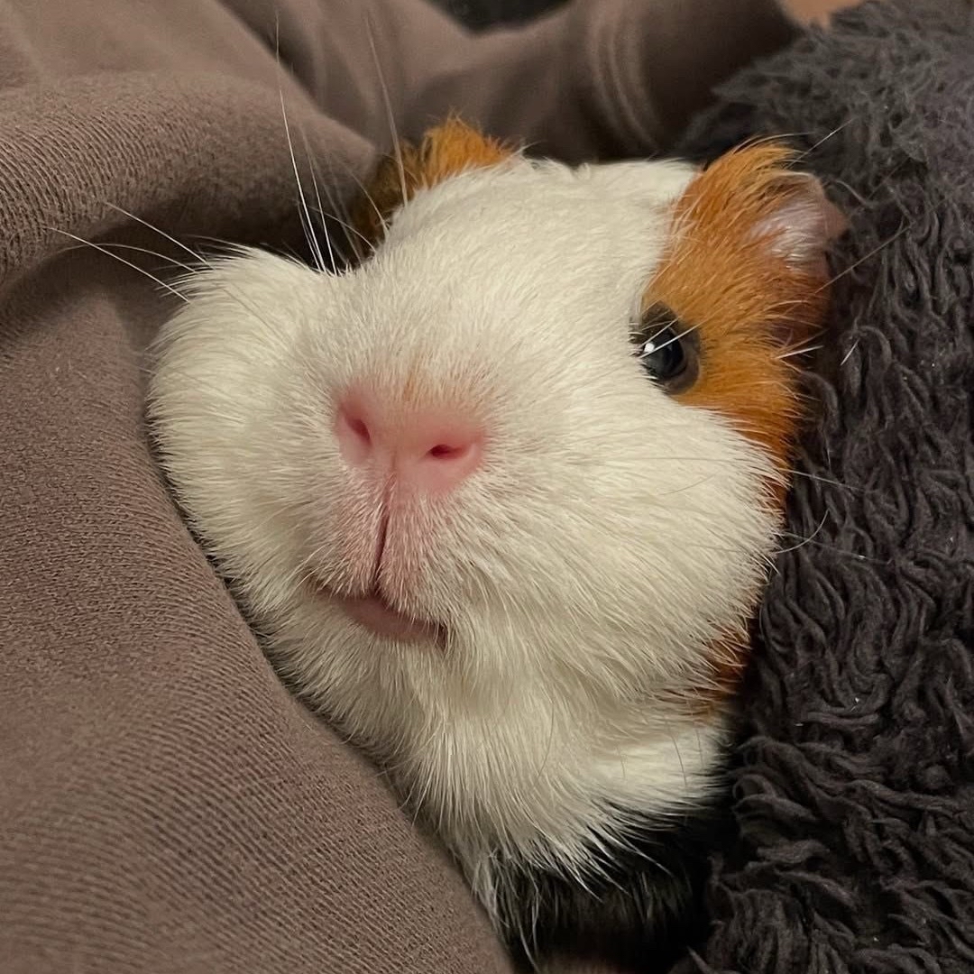 Latest photo of Jungwon (ENHYPEN)