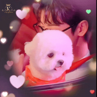 Recent activity shot of Eunwoo (ASTRO)