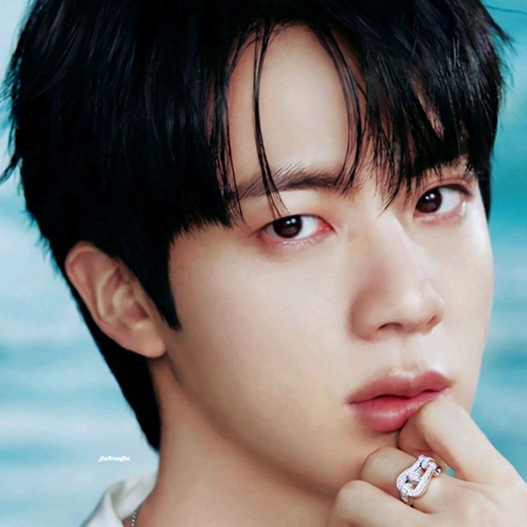 A moment captured by Jin (BTS)'s fan