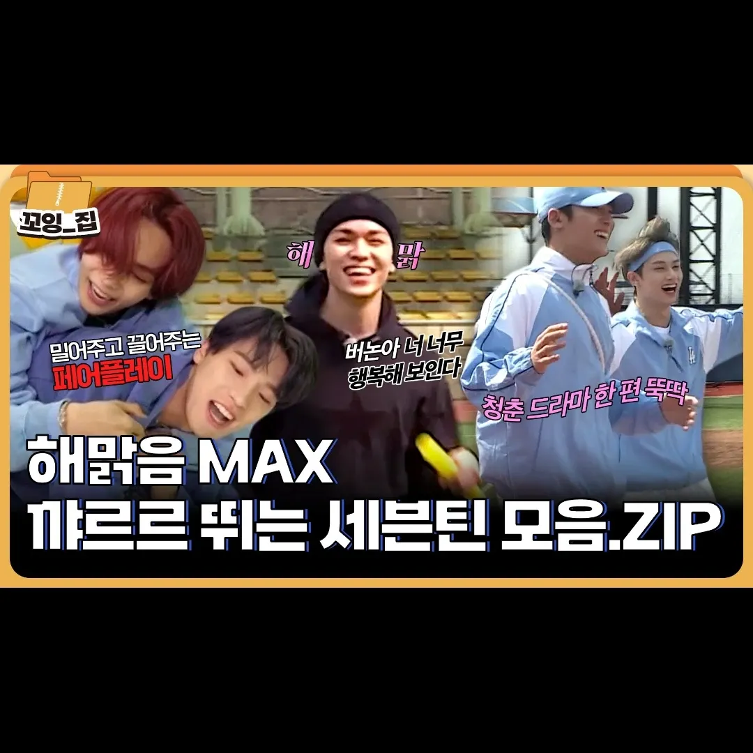 세븐틴 팬이 찍은 순간