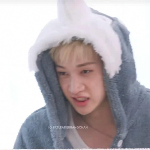 方灿 (Stray Kids)粉丝拍下的瞬间