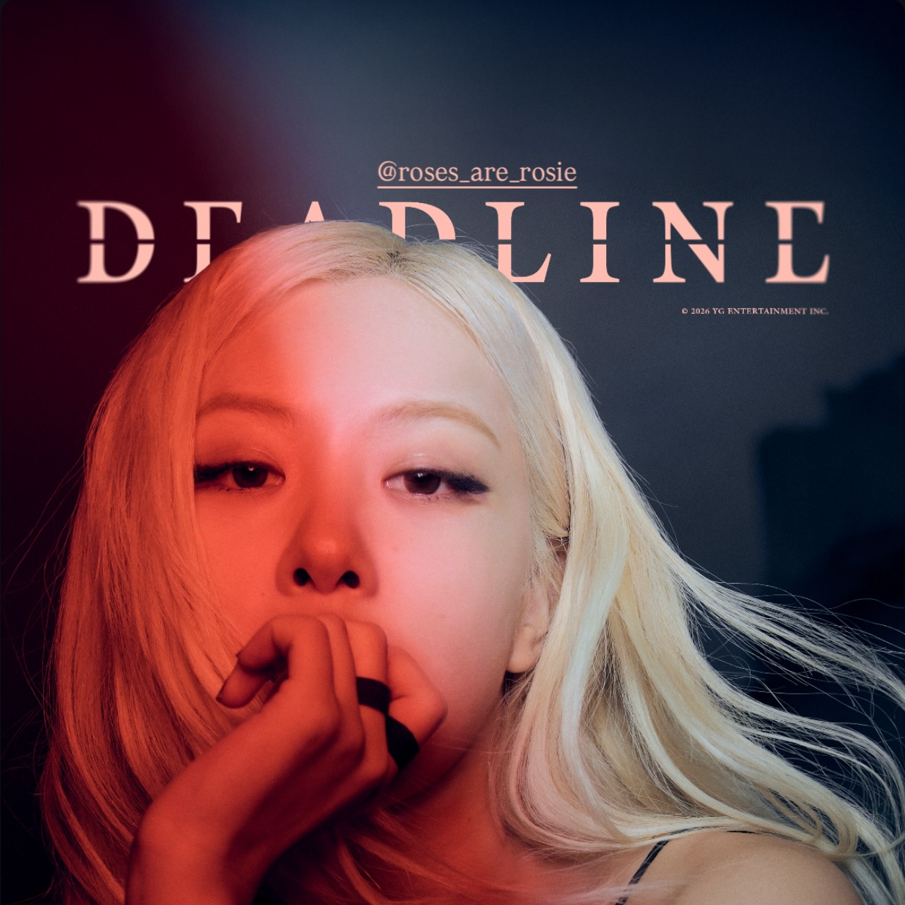 Momen yang diabadikan oleh penggemar BLACKPINK