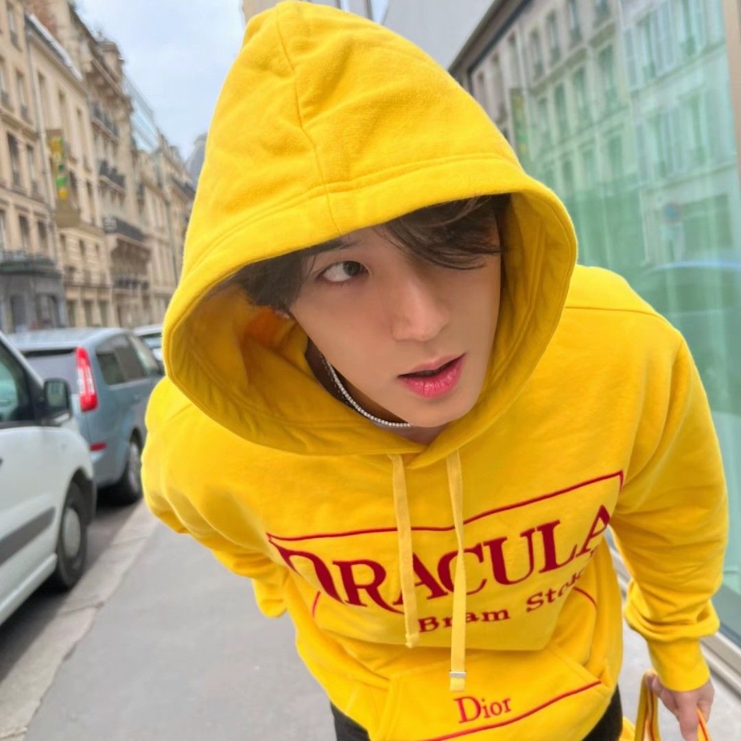 세븐틴 팬이 찍은 순간