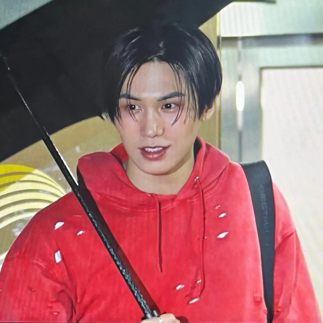 Latest photo of Rocky