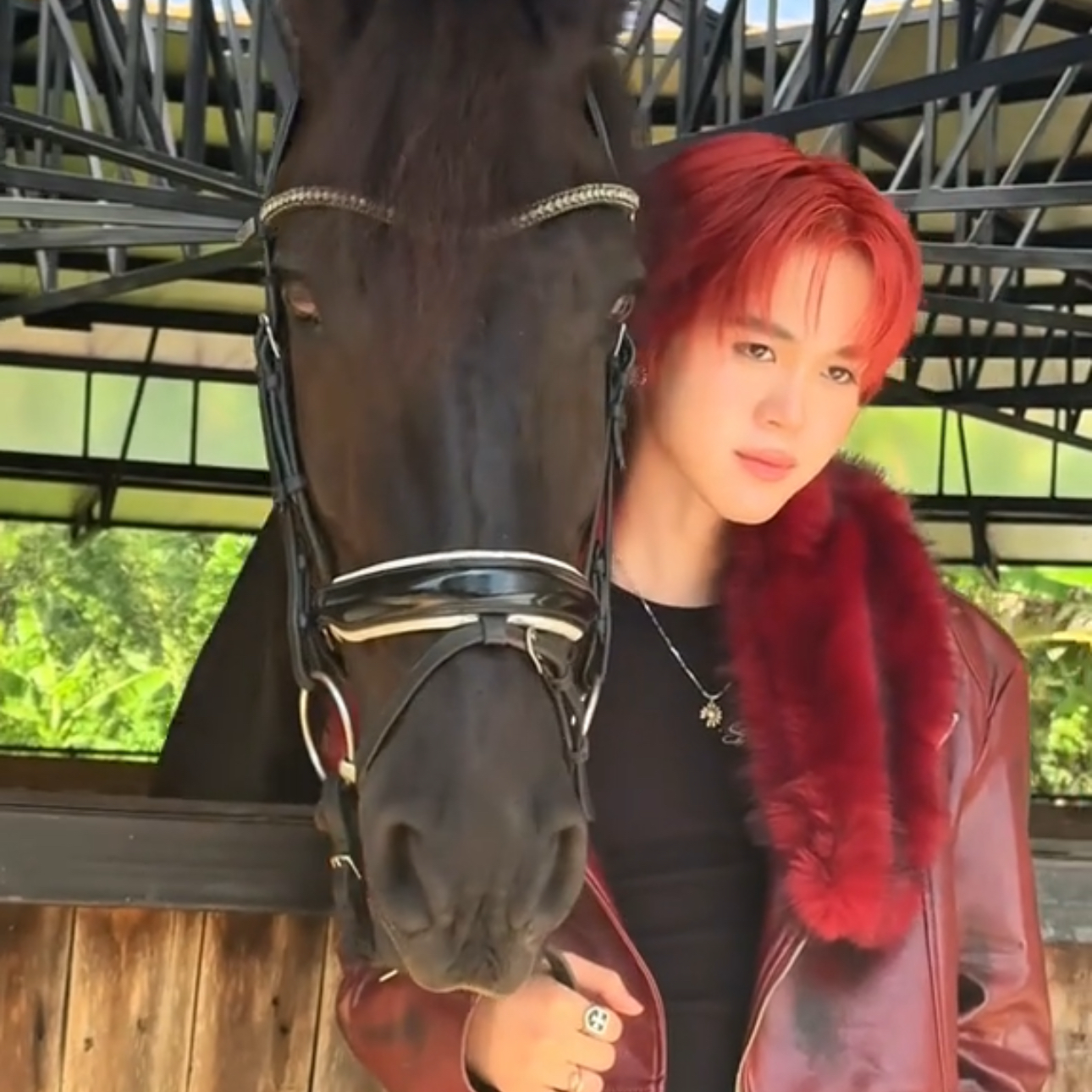 타이오 (NexT1DE) 최근 활동샷