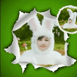 모모 (TWICE) 팬이 찍은 순간