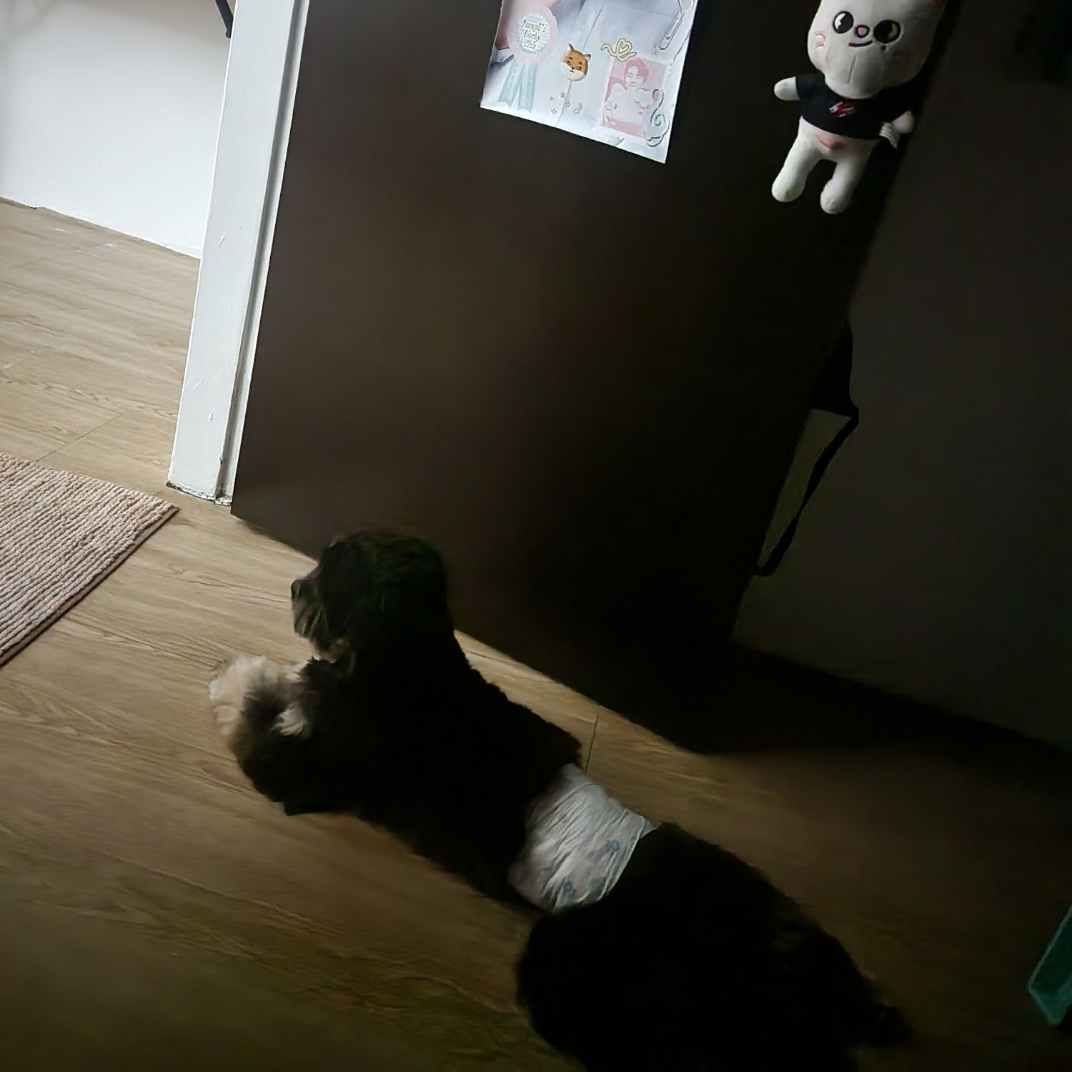 SEVENTEEN的最新照片