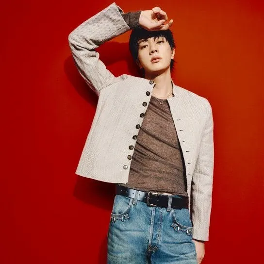 진 (방탄소년단) 팬이 찍은 순간