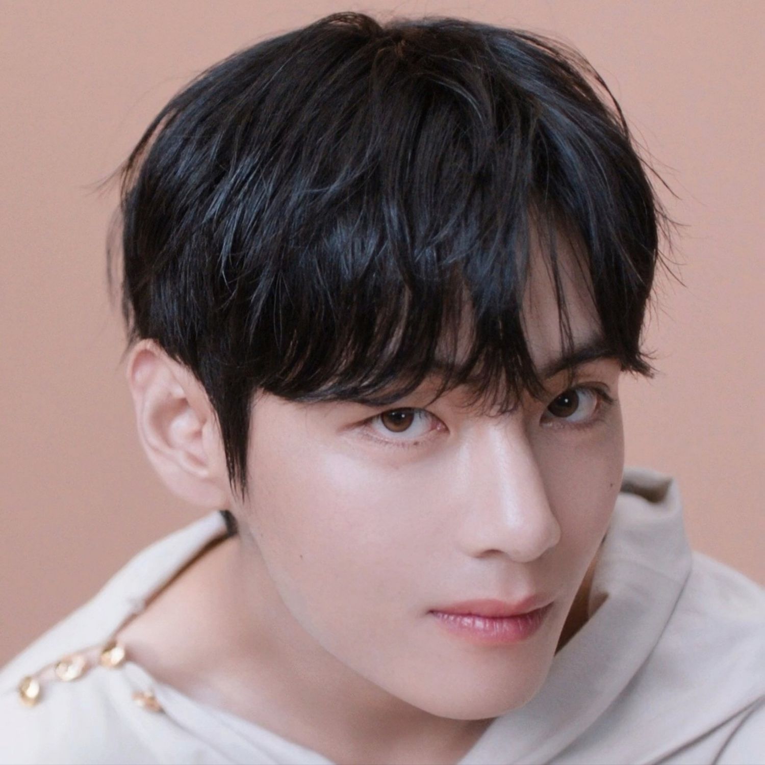 V (防彈少年團)的最新照片