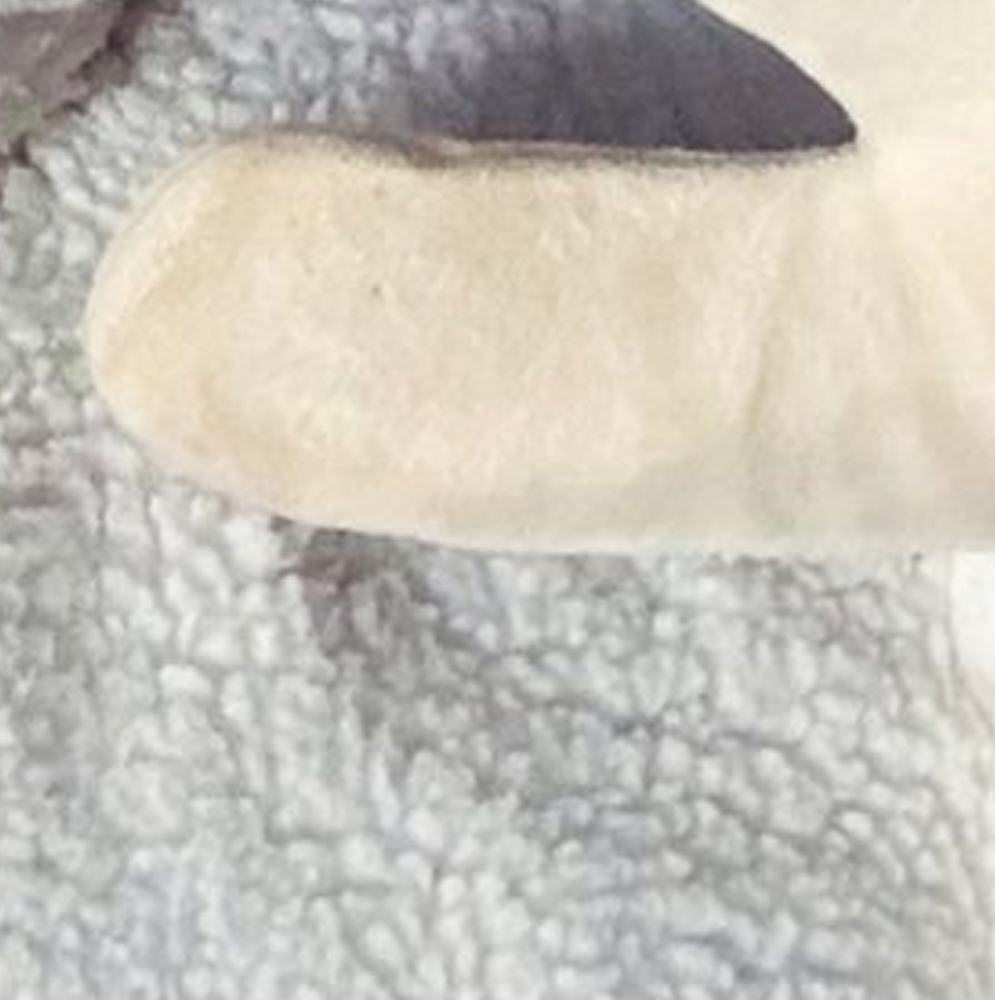 Momen yang diabadikan oleh penggemar HaSeul (ARTMS)