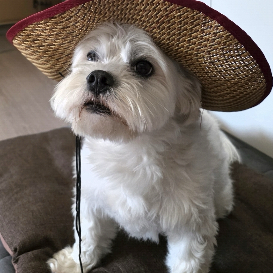 Recent activity shot of Jungwon (ENHYPEN)