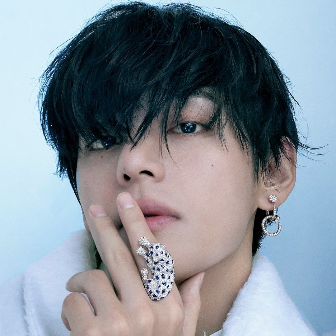 뷔 (방탄소년단) 팬이 찍은 순간