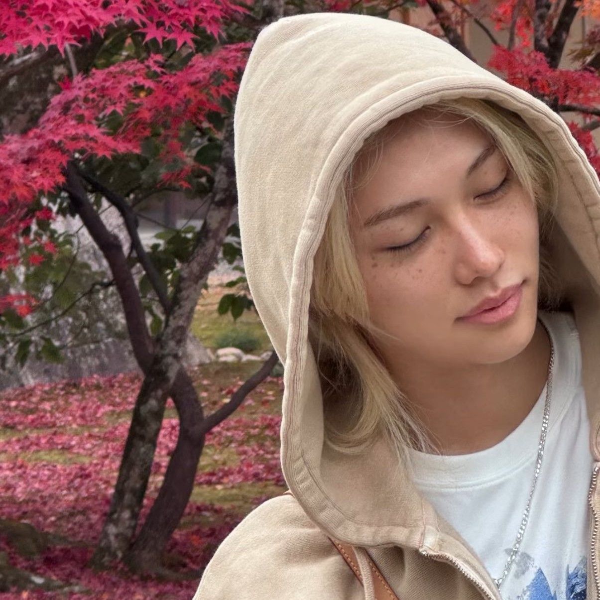 Stray Kids의 최신 사진