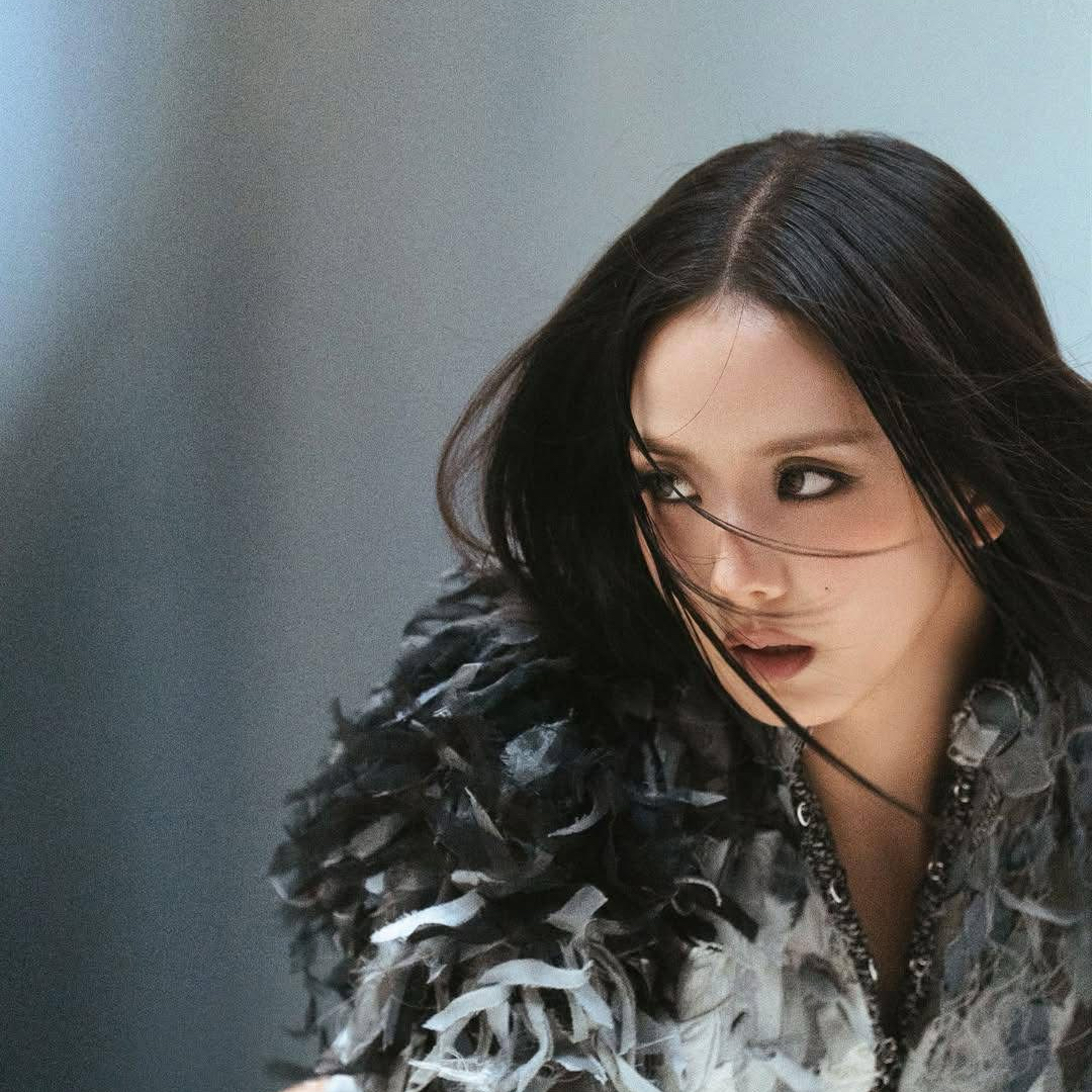 BLACKPINK 팬이 찍은 순간