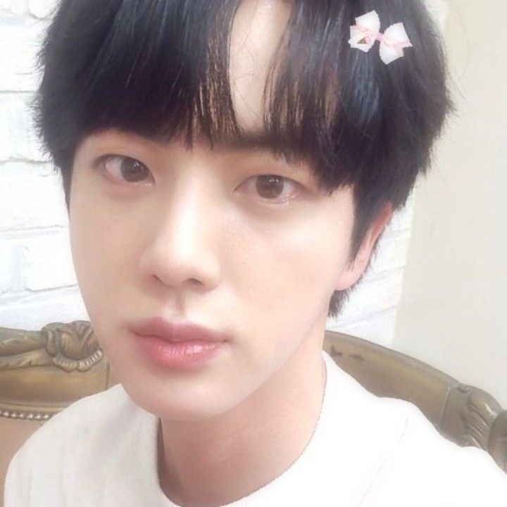 진 (방탄소년단) 팬이 찍은 순간