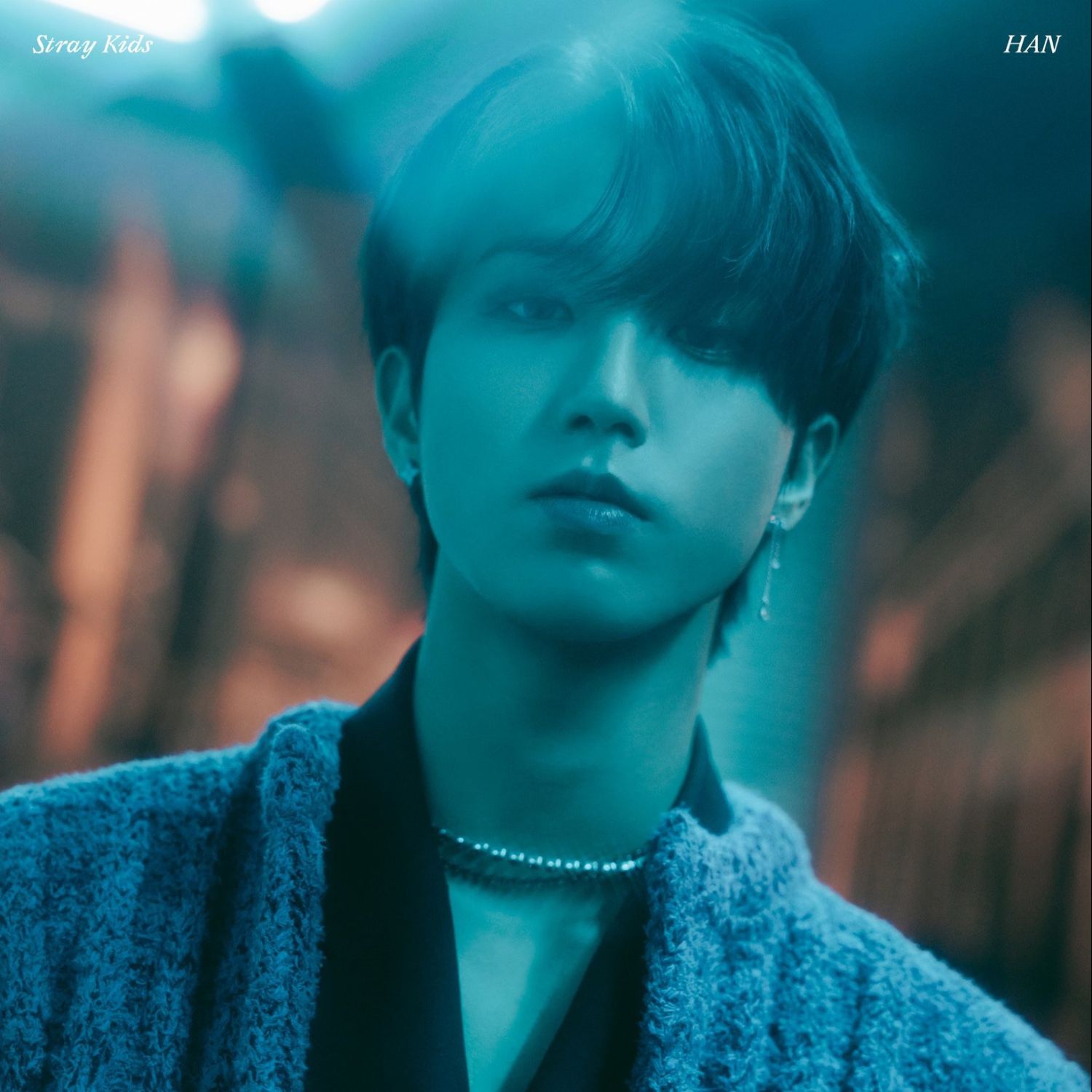 A moment captured by HAN (Stray Kids)'s fan