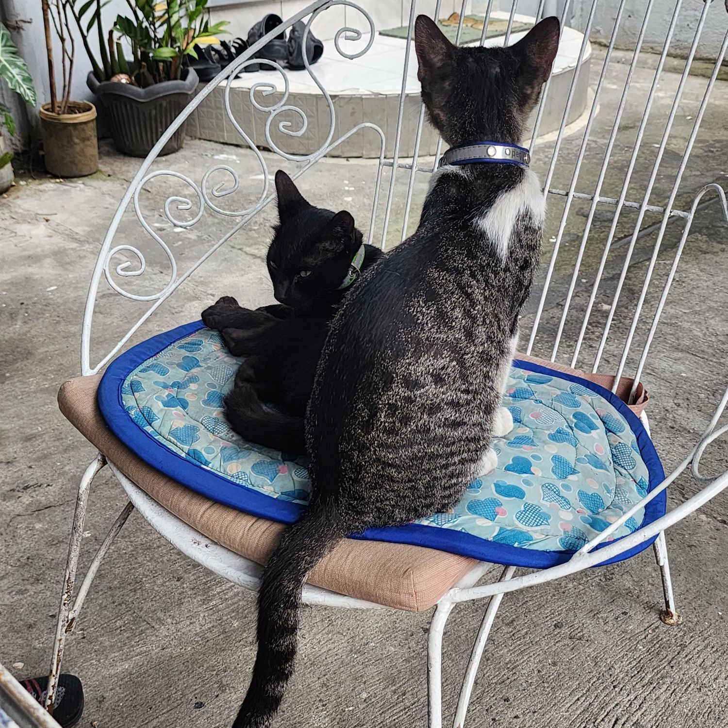 세븐틴 최근 활동샷