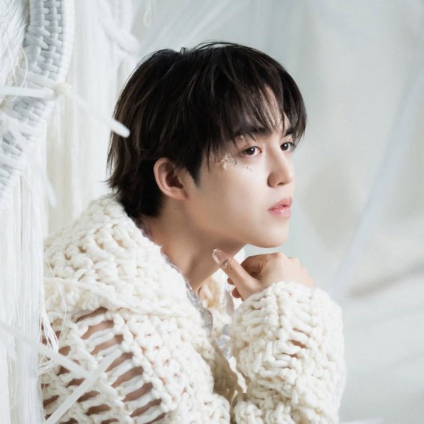 Potret di balik layar S.Coups (SEVENTEEN)