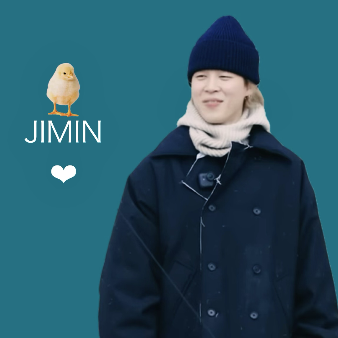 A moment captured by Jimin (BTS)'s fan
