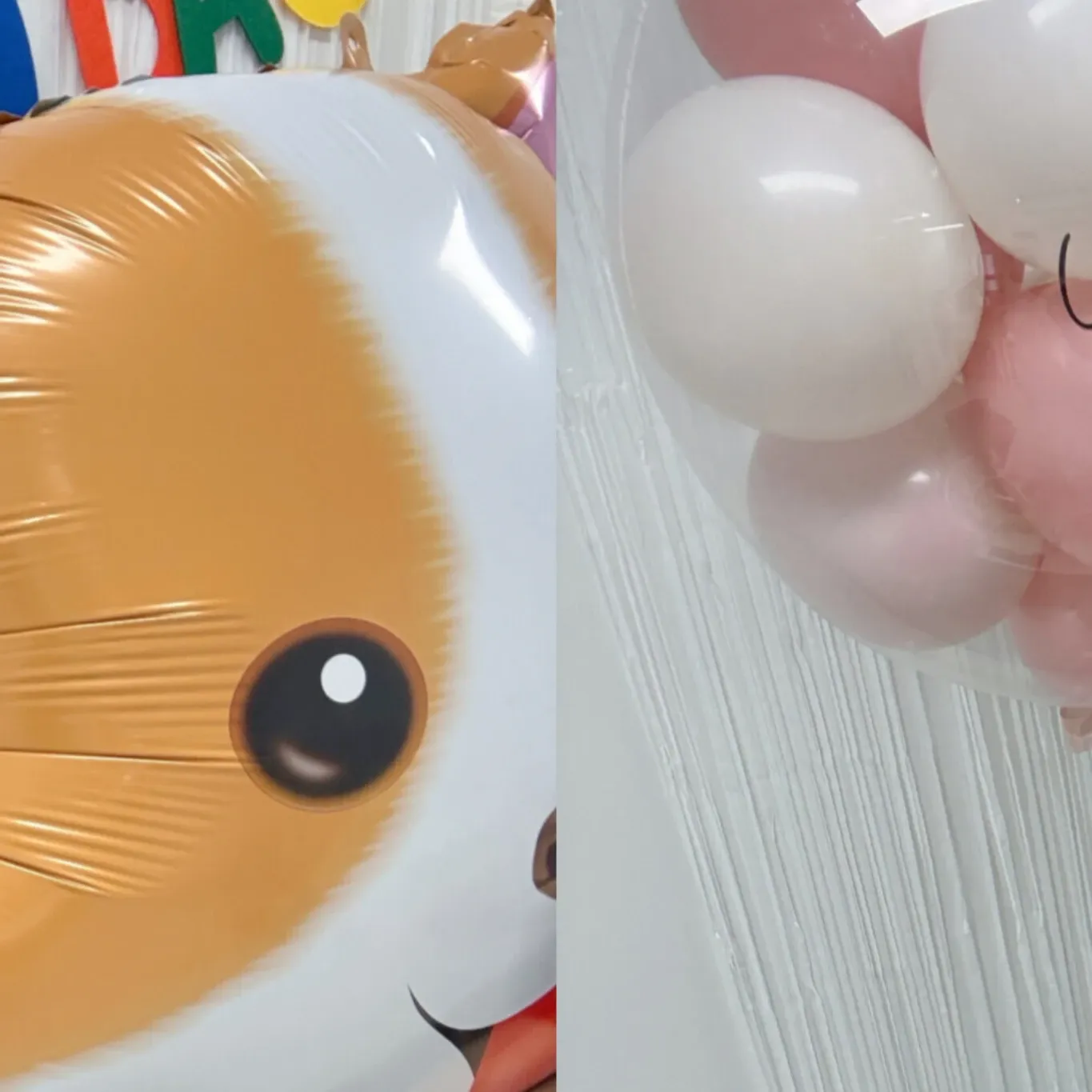 Latest photo of YOUNITE