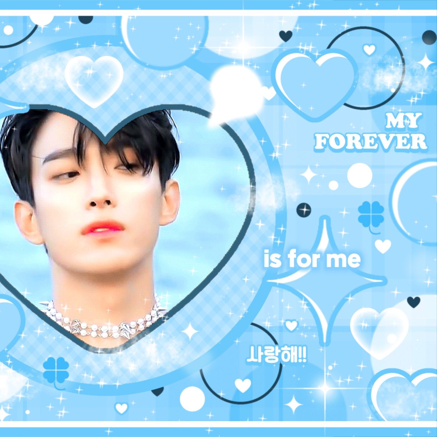 세븐틴 팬이 찍은 순간