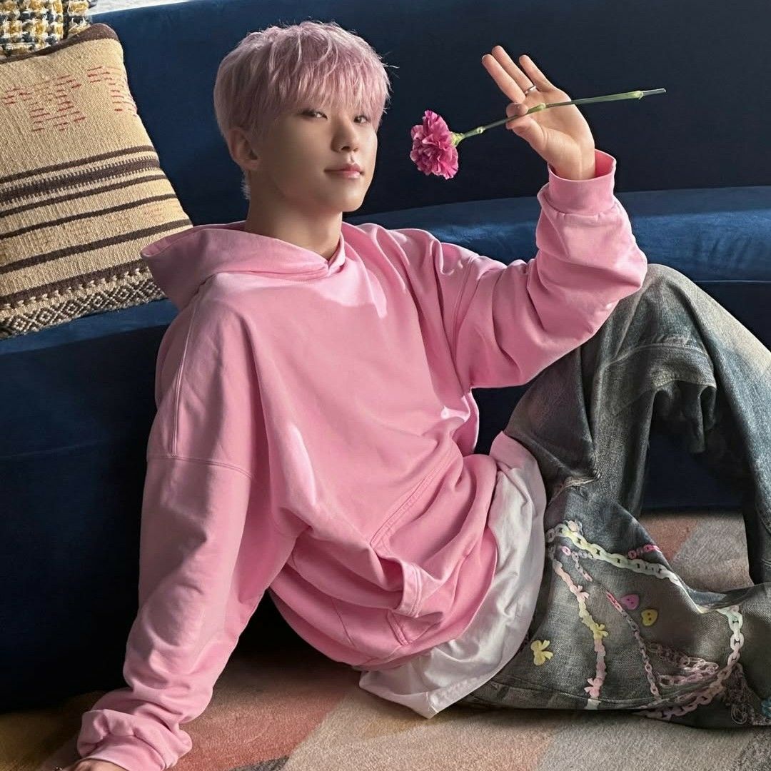 ホシ (SEVENTEEN)ファンが撮った瞬間