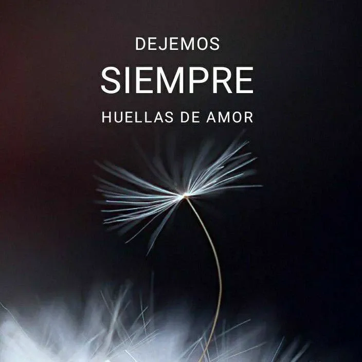 Recent activity shot of Moonbin (ASTRO)