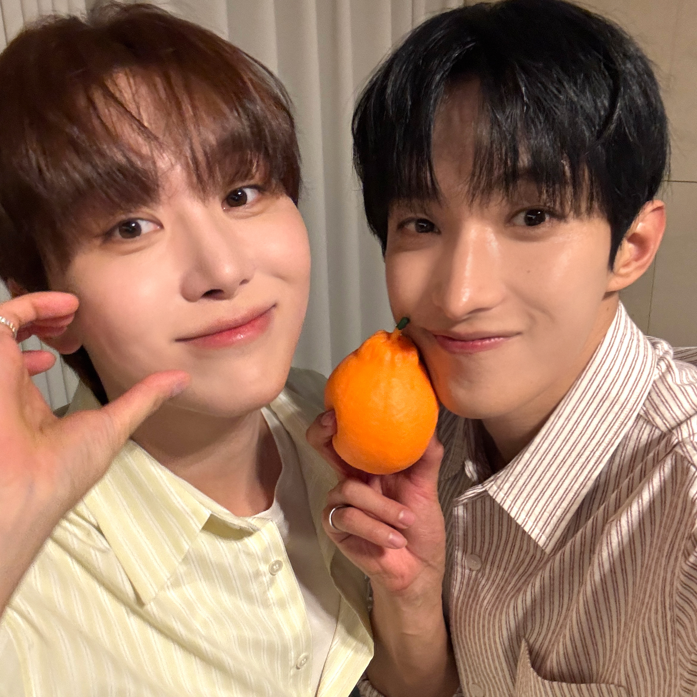 세븐틴 팬이 찍은 순간