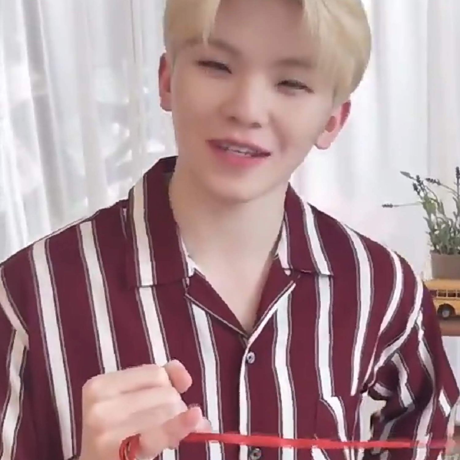 세븐틴 팬이 찍은 순간