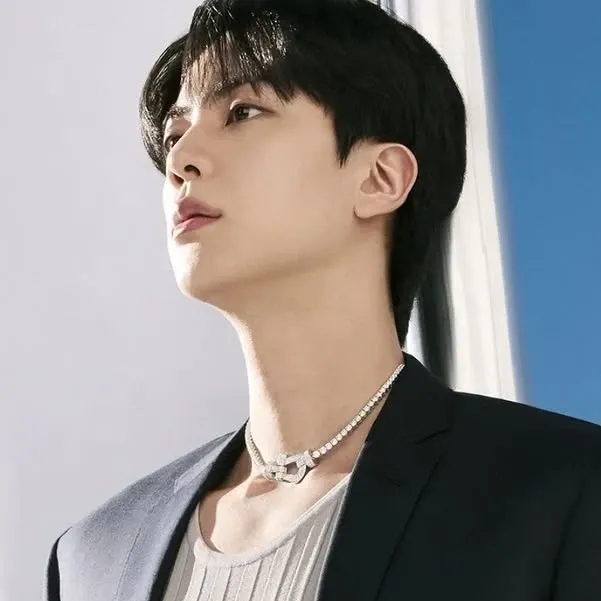 진 (방탄소년단) 팬이 찍은 순간