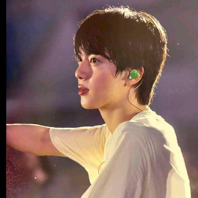 진 (방탄소년단) 팬이 찍은 순간