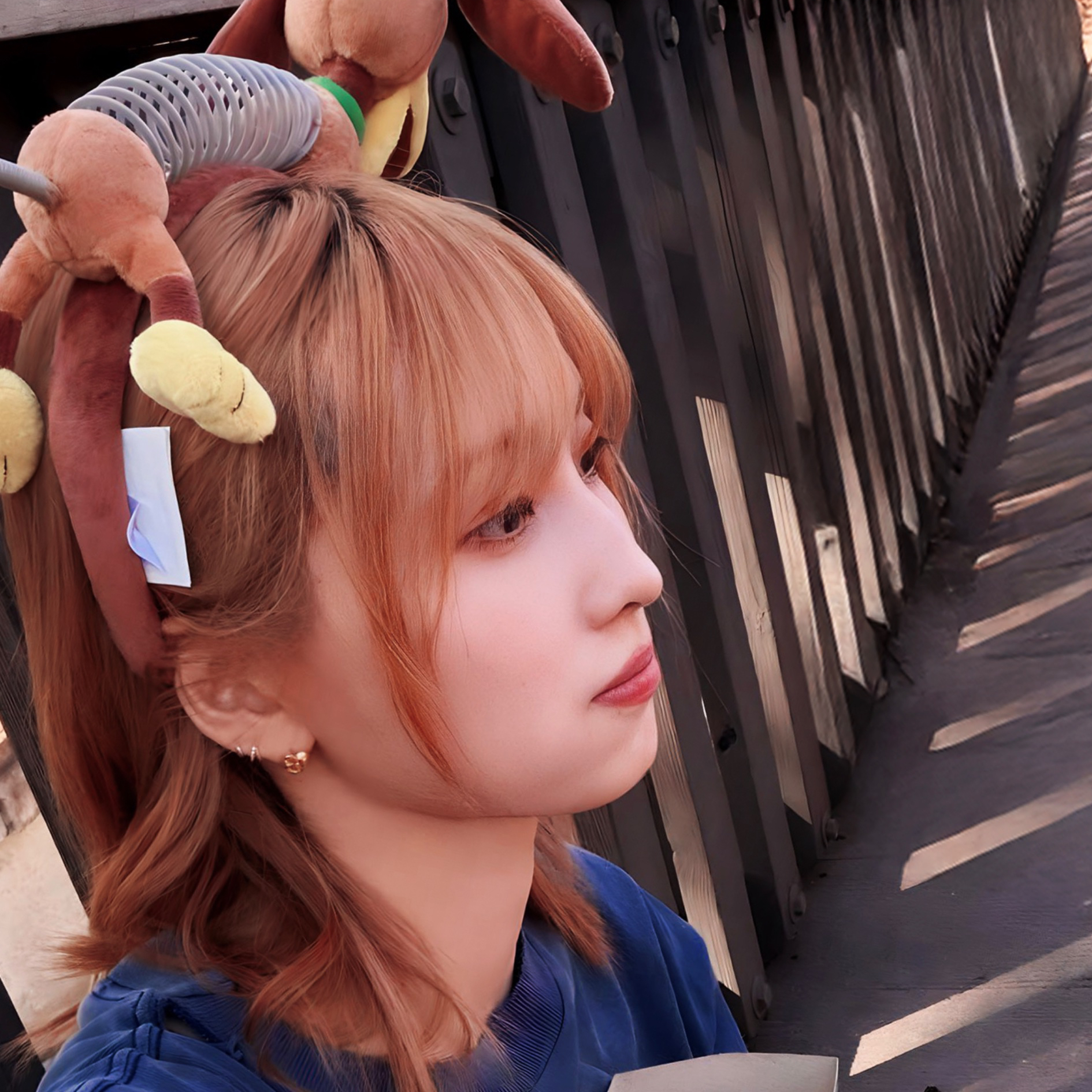 모모 (TWICE) 팬이 찍은 순간