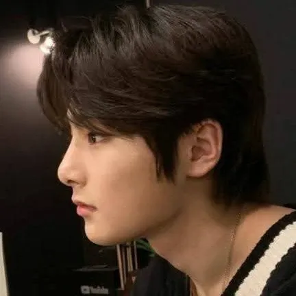 A moment captured by I.N (Stray Kids)'s fan