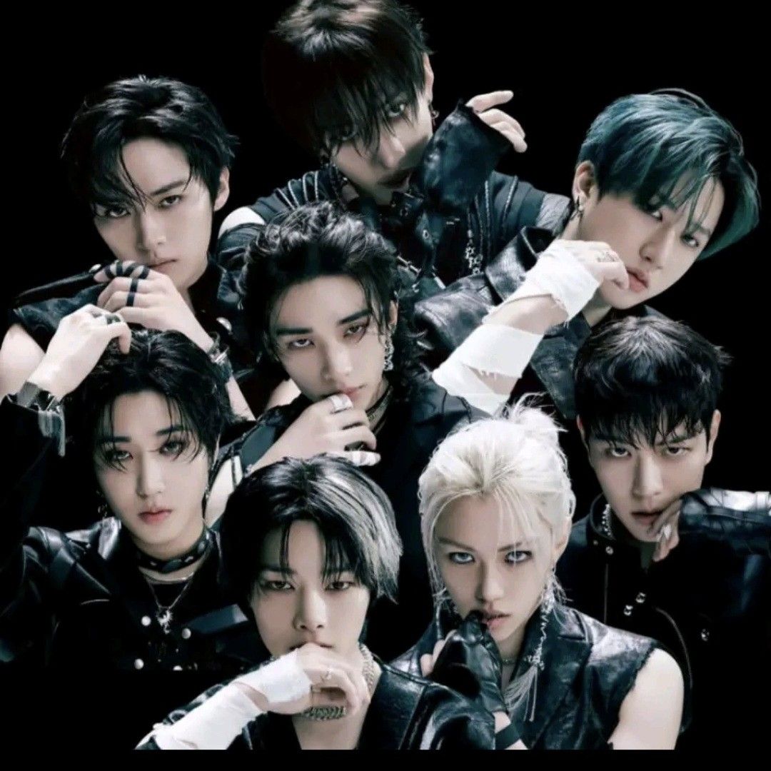 Stray Kids 팬이 찍은 순간