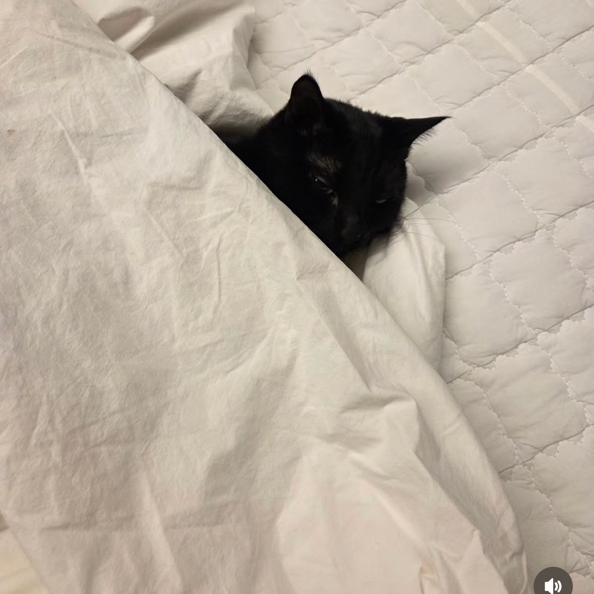 SUGA (BTS)の舞台裏ショット