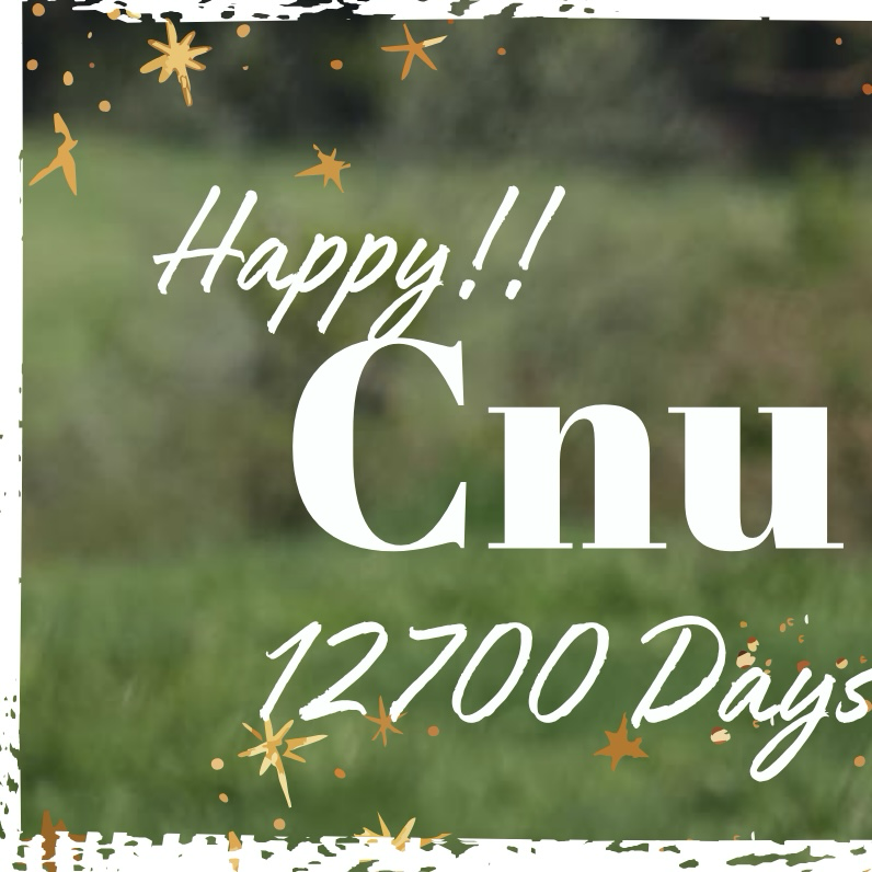 Latest photo of CNU (B1A4)