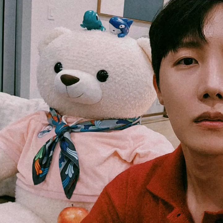 제이홉 (방탄소년단) 팬이 찍은 순간