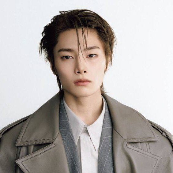 A moment captured by I.N (Stray Kids)'s fan