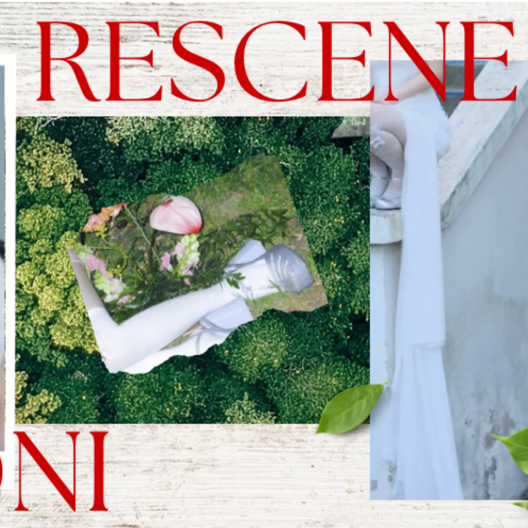 Must-see popular post of 원이 (리센느), your favorite