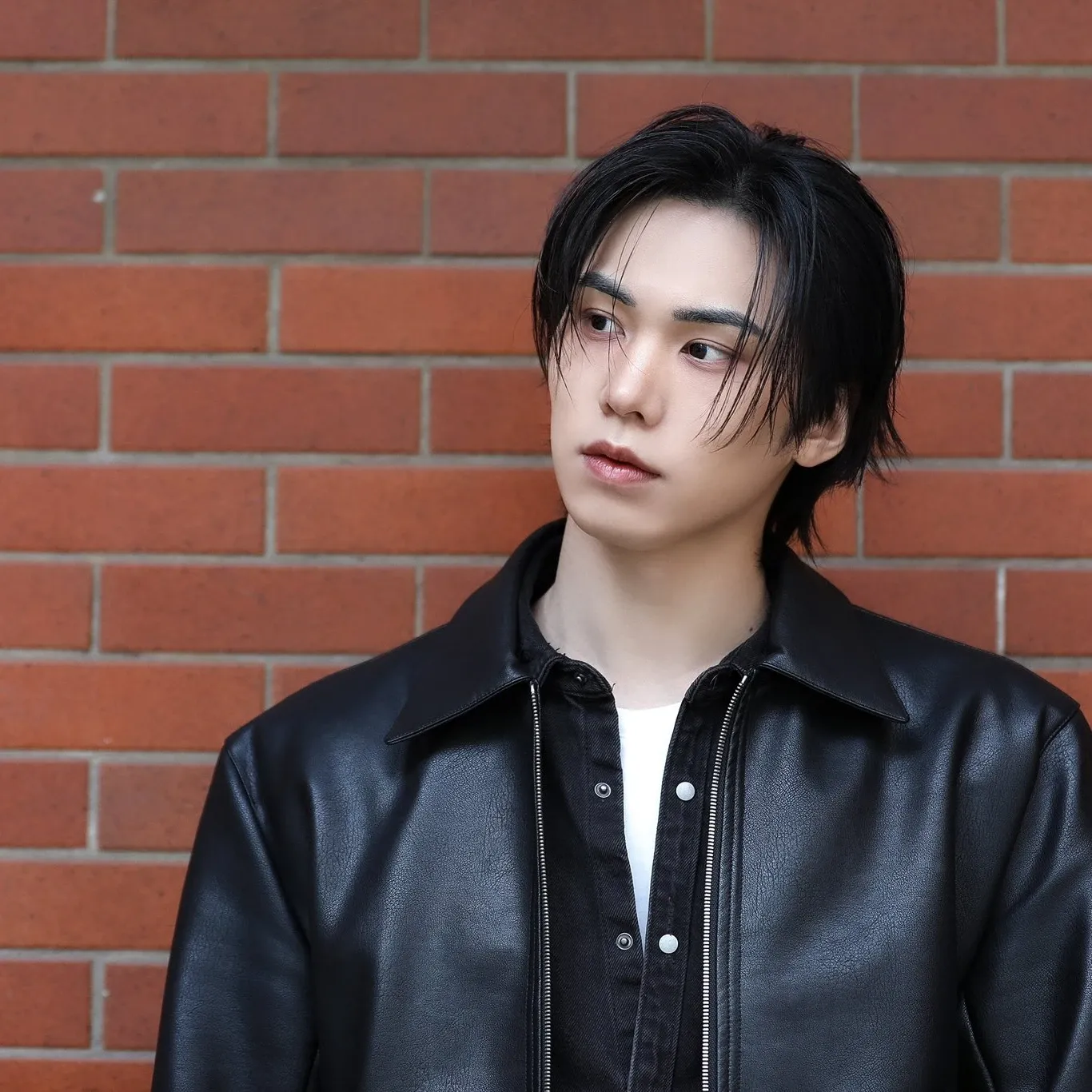 Rocky的最新活动照片