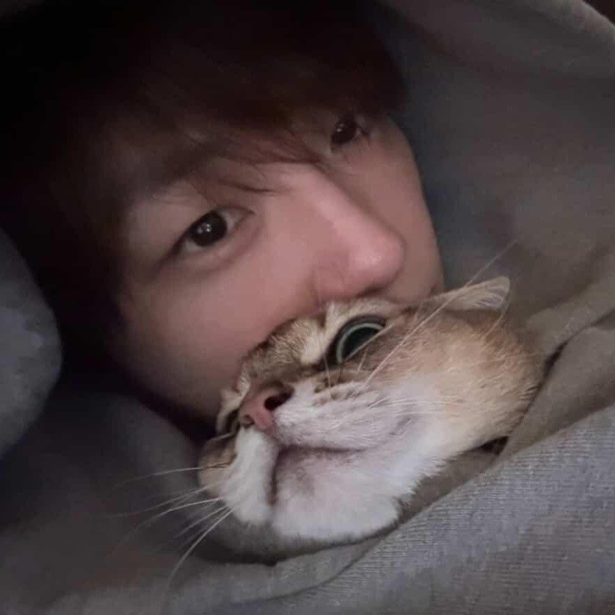 Recent activity shot of Kang Daniel